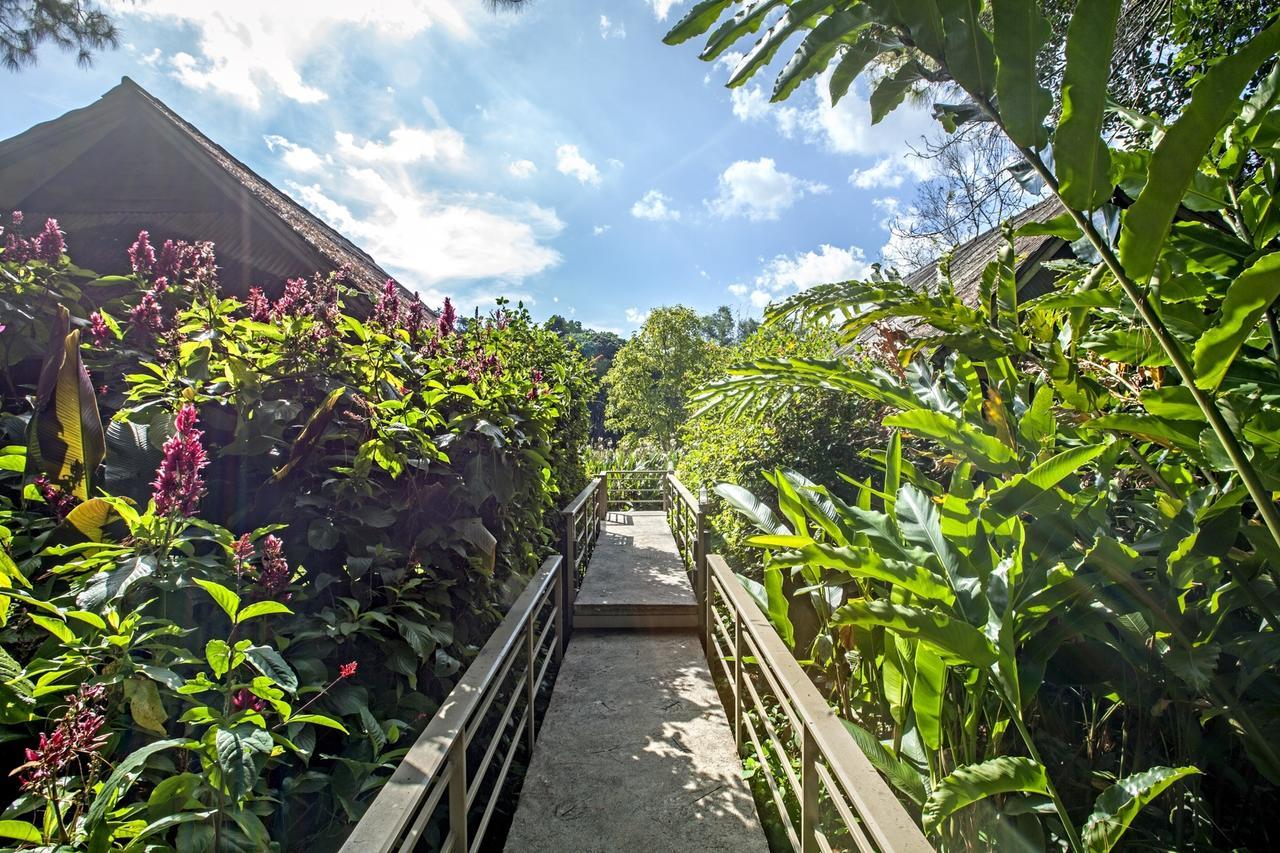 Khaokhoherbary Organicfarm&Resort Sankt Gallenkirch Exterior foto